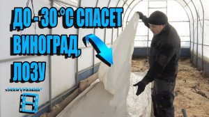 ЛЕГКОЕ УКРЫТИЕ ВИНОГРАДА ИЗ ПОДРУЧНЫХ МАТЕРИАЛОВ ДО - 30 °C. ВЫРАЩИВАНИЕ ВИНОГРАДА В ТЕПЛИЦЕ