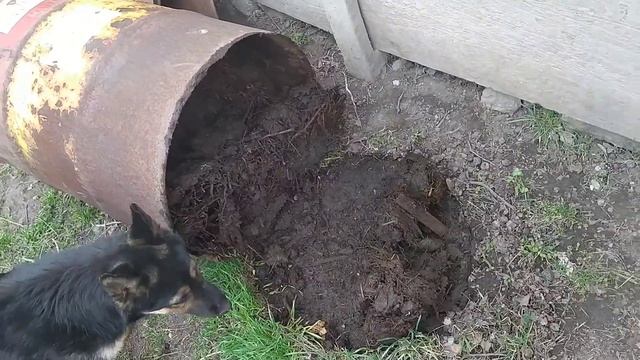 Компостная бочка. Самодельный компост. Компостный ящик своими руками смотреть онлайн