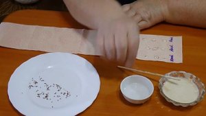 Семена на туалетной бумаге