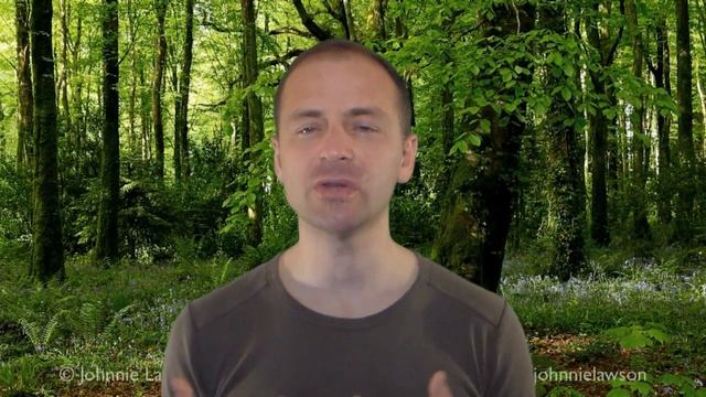 Как дети учат язык смотреть онлайн