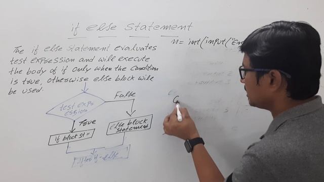 L 14: IF ELSE STATEMENT IN PYTHON | CONDITIONAL STATEMENTS IN PYTHON | PYTHON LECTURES FOR BEGINNER