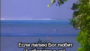 + Если лилию Бог любит