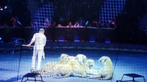 Сергей Нестеров. Тигры. 44 фестиваль в Монако