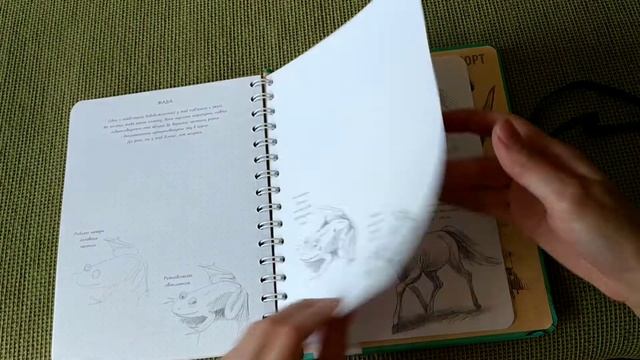 Огляд скетчбука "Малюємо тварин" смотреть онлайн