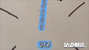 zoom v3 (32768x speed)