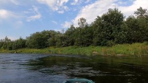 Сплав по реке Луга. 6 дней с друзьями
