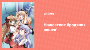 Нашествие бродячих кошек! 12 серия «Бродячая кошка решилась» (аниме-сериал, 2010)