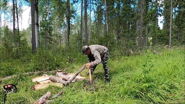 НА ВЕЗДЕХОДЕ ЗА ЯГОДАМИ