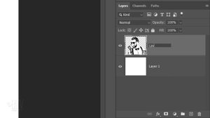 Photoshop: Convert RASTER Images to VECTOR Graphics.