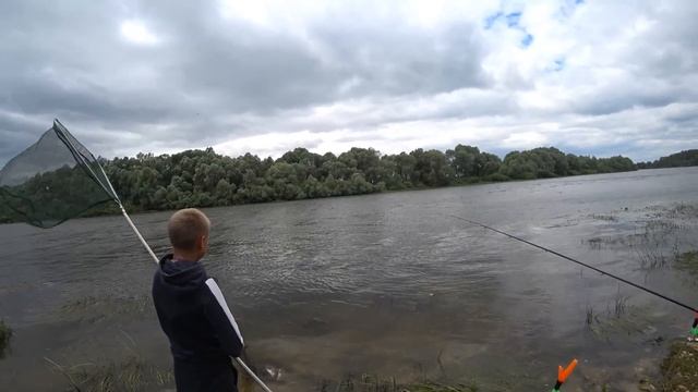 Ловля ЛЕЩА на ОКЕ ! Рыбалка на ДОНКИ! Ловля леща в июле! смотреть онлайн