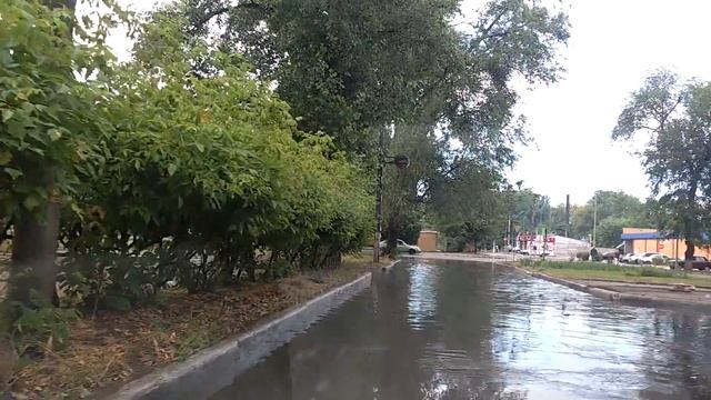 Новомосковск. ул.Красноармейская. 19.06.2017г. смотреть онлайн