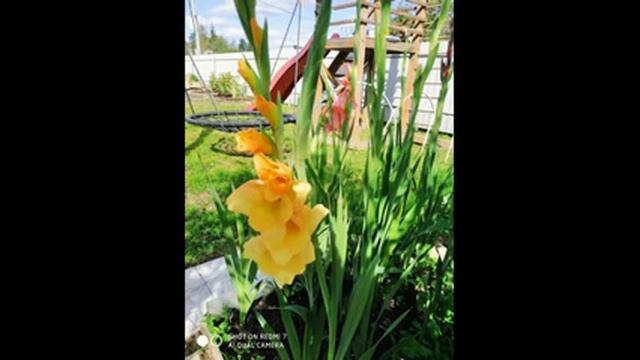Осенние стихи