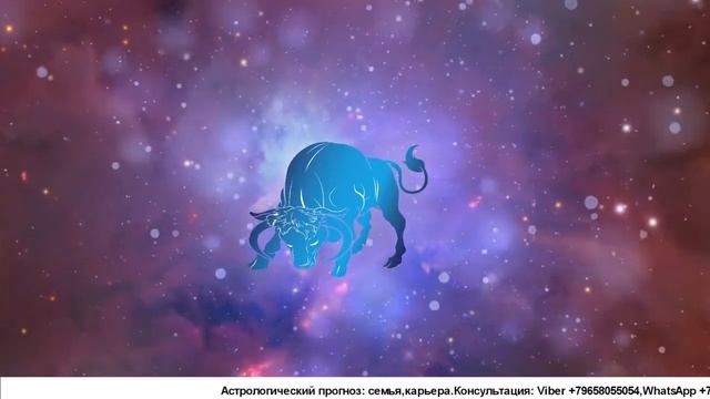 Общая Характеристика знака Телец