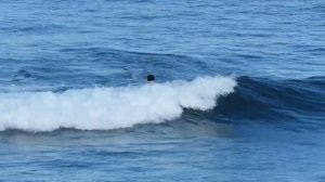 Single fin surfing uluwatu - kopraltuuf 2021