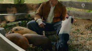 Свинопас (2017) - киносказка