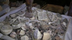 Восхождение на гору Синай (Гора Моисея)