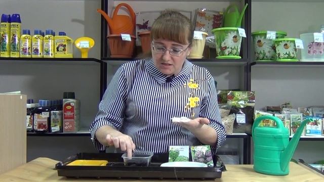 Осенняя посадка артишока