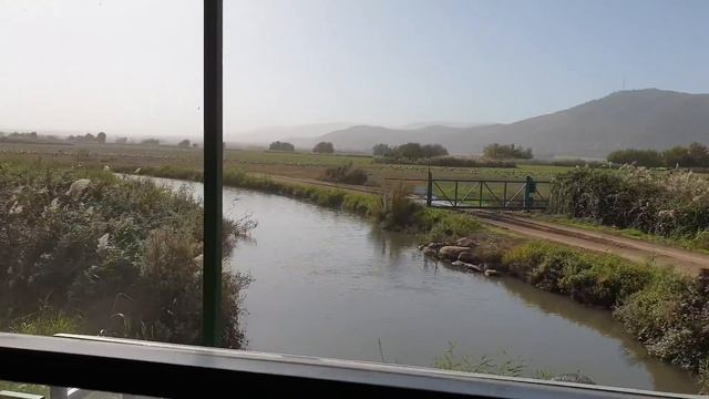 ТОЛЬКО В ИЗРАИЛЕ!!! Как кормят журавлей на озере Хула. Заповедник Хула - что там? смотреть онлайн