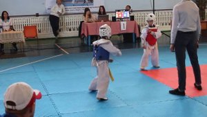 Тхэквондо WTF дети-22кг