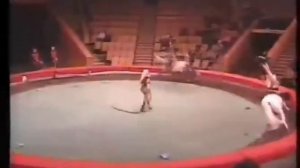 Джигитовка. Боковая стойка, собираем платки.