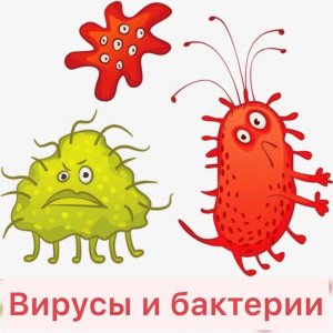 Вирусы и бактерии.
