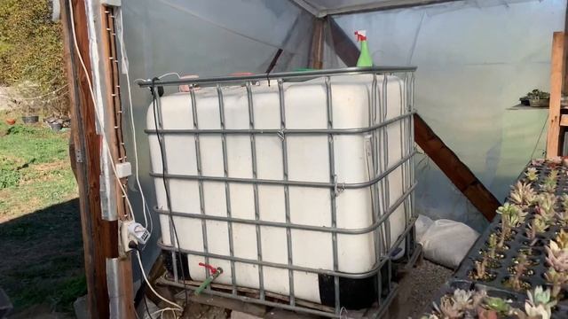 Тур по теплицам. ЮЛИЯ, коллекционер-продавец суккулентов, ст. Бекешевская смотреть онлайн