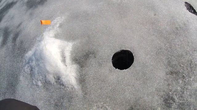 ЭТОТ ЧЁРТИК ВЫТАЩИЛ РЫБАЛКУ. Всегда его ставлю, если не клюёт. смотреть онлайн