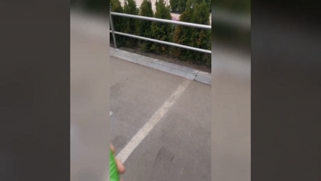 Аграрник Испытываем удобрение Зеленая Игла на Туе смотреть онлайн