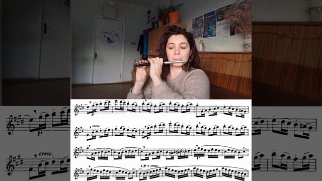 Gariboldi etude 14#flute #fluteplayer #study #practice#piccolo#Ukraine смотреть онлайн