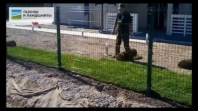 Укладка газона: кратко и по существу смотреть онлайн
