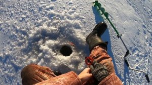 ПЕРВЫЙ ЛЕД 2020-2021 РЫБАЛКА НЕ БЛЕСНУ ВАУЧЕР ЛОВЛЯ ОКУНЯ