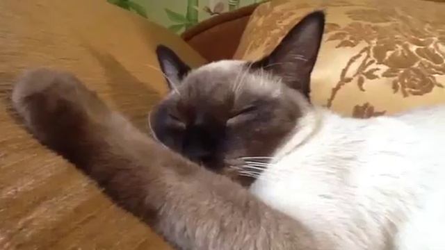 Брейк-данс начало #1 смотреть онлайн