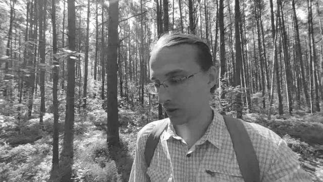 Исследователи предлагают простой рецепт преодоления давления и проблем с холестерином смотреть онлайн