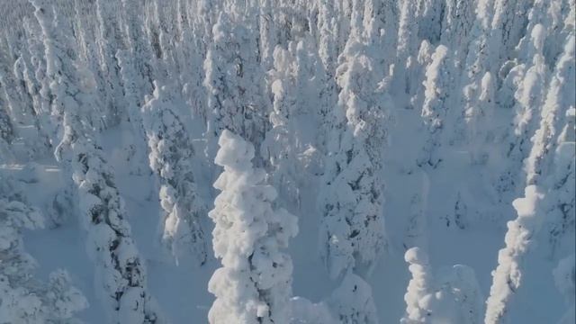 Чарующая Красота Зимней Природы Под Очень Нежную, Спокойную, Приятную Для Отдыха Музыку!