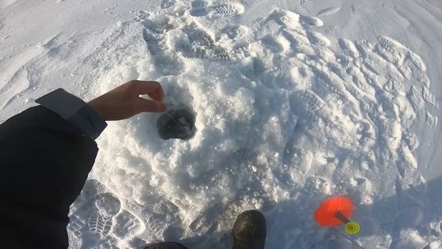 ЛОВЛЯ ЩУКИ НА ВОЛГЕ / ВАСИЛЬЕВСКИЕ ОСТРОВА, САМАРА / РЫБАЛКА НА ЖЕРЛИЦЫ/ЩУКА НА ЖИВЦА/ЗИМНЯЯ РЫБАЛК