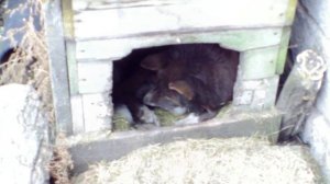Юбилей Пальмы 6.4.2024