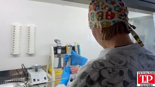 Исследование клещей в лаборатории