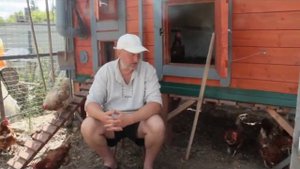 Вентиляция в курятнике, зимнее содержание кур-несушек, зольный тазик для кур. Ответы на вопросы.