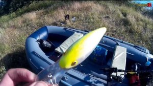 Отдых на Ладоге. В поисках судака. Снова неудача.