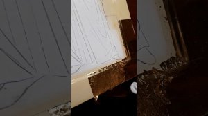 как положить золото на мордан 6