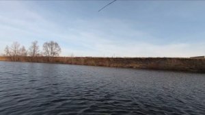 Ловля щуки на воблеры