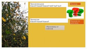 КАК ОТЛИЧИТЬ ПРИЛАГАТЕЛЬНОЕ ОТ ПРИЧАСТИЯ, ДЕЕПРИЧАСТИЕ ОТ НАРЕЧИЯ???