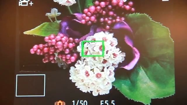 OLYMPUS STYLUS SH 50 смотреть онлайн