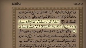 SURAH BAQARAH BY SHEIKH BADR AL TURKI /سورة البقرة كاملة مع تتبع الآيات القارئ بدر التركي