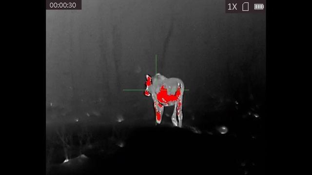 Yukon Nordforce XQ30: практика смотреть онлайн