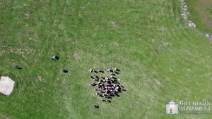 Матушка Земля