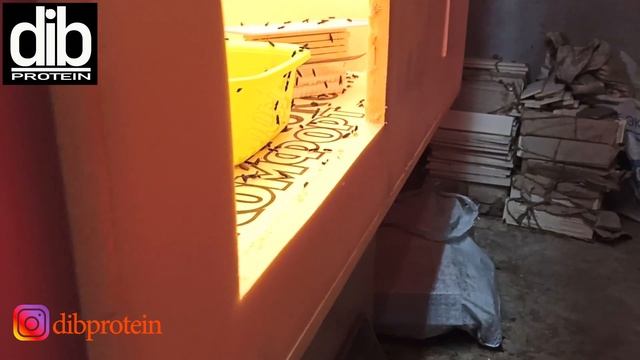 Чёрная львинка. Инсектарий с инкубатором для начинающих. смотреть онлайн