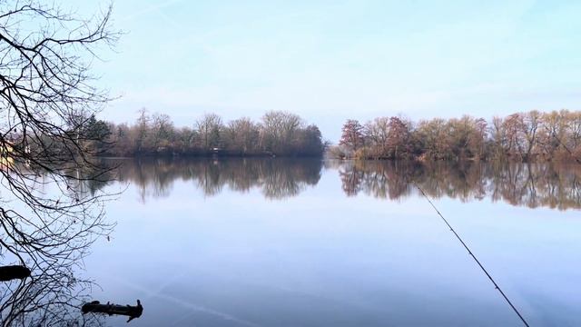 Результативная рыбалка на холодной воде: секреты ловли Карпа с использованием стика и поп-ап смотреть онлайн