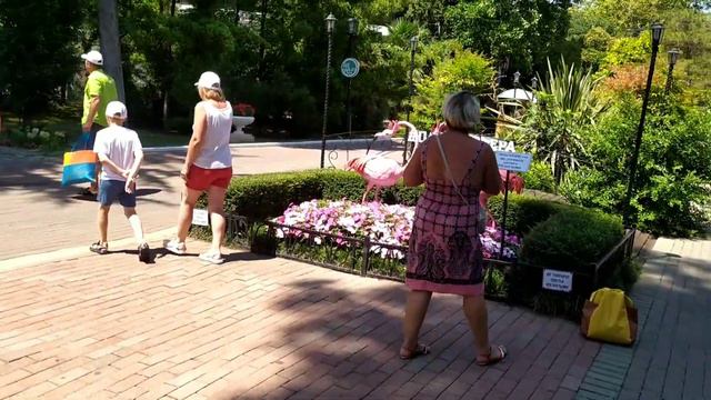 Сочи. Прогулка от пляжа "Ривьера" через парк "Ривьера" до жилого комплекса "Ривьера"/Sochi, Riviera