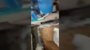 Китайский гранулятор
